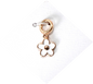 flower white Charm