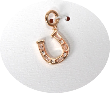 horse shoe Charm