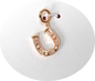horse shoe Charm